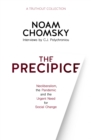 The Precipice : Neoliberalism, the Pandemic and the Urgent Need for Social Change - eBook