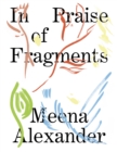In Praise of Fragments - eBook