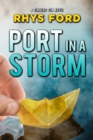 Port in a Storm - eBook