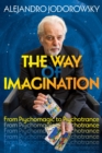 The Way of Imagination : From Psychomagic to Psychotrance - eBook