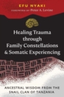 Healing Trauma through Family Constellations and Somatic Experiencing : Ancestral Wisdom from the Snail Clan of Tanzania - Book