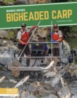 Invasive Species: Bigheaded Carp - Book