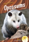 Animal Pranksters: Oppossums - Book