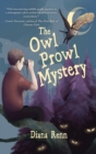 The Owl Prowl Mystery - eBook