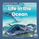 Animals Live Here: Life in the Ocean - Book
