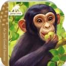 Chimpanzee - Book