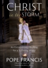 Christ in the Storm : An Extraordinary Blessing for a Suffering World - eBook