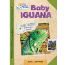 Baby Iguana - eBook