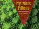 Mysterious Patterns : Finding Fractals in Nature - Book