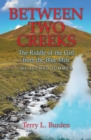 Between Two Creeks : The Riddle of the Girl from the Blue Mist My Second Summer - eBook