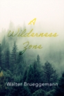 A Wilderness Zone - eBook