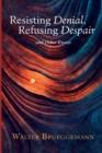 Resisting Denial, Refusing Despair : And Other Essays - eBook