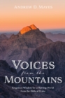 Voices from the Mountains : Forgotten Wisdom for a Hurting World from the Biblical Peaks - eBook