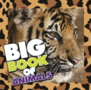 Big Book of Animals : Children's Book of Animal Fun Facts - eBook