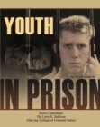 Youth in Prison - eBook