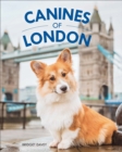 Canines of London - eBook