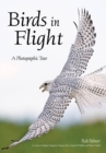 Birds in Flight : A Photographic Essay of Hawks, Ducks, Eagles, Owls, Hummingbirds, & More - eBook