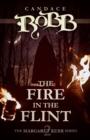 The Fire in the Flint - eBook