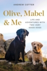 Olive, Mabel & Me : Life and Adventures with Two Very Good Dogs - eBook