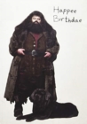 Harry Potter: Hagrid's Cake Pop-Up Card - Book