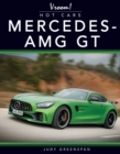 Mercedes AMG-GT - eBook