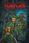 Teenage Mutant Ninja Turtles: The Ultimate Collection, Vol. 4 - Book