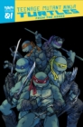 Teenage Mutant Ninja Turtles: Reborn, Vol. 1 - From The Ashes - Book