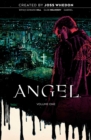 Angel Vol. 1 20th Anniversary Edition - Book
