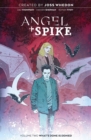 Angel & Spike Vol. 2 - Book