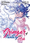 Grimgar of Fantasy and Ash: Volume 11 - eBook