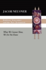 Rabbinic Literature and the New Testament : What We Cannot Show, We Do Not Know - eBook