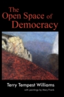 The Open Space of Democracy - eBook