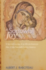 A Sorrowful Joy : A Spiritual Journey of an African-American Man in Late Twentieth-Century America - eBook