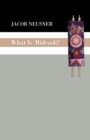 What Is Midrash? - eBook