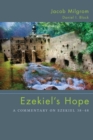 Ezekiel's Hope : A Commentary on Ezekiel 38-48 - eBook