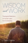 Wisdom and Work : Theological Reflections on Human Labor from Ecclesiastes - eBook