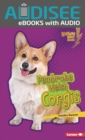 Pembroke Welsh Corgis - eBook