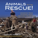 Animals to the Rescue! : Amazing True Stories from around the World - eBook