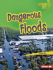 Dangerous Floods - eBook