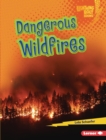 Dangerous Wildfires - eBook