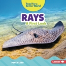 Rays : A First Look - eBook