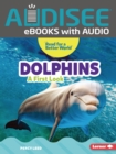 Dolphins : A First Look - eBook