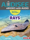 Rays : A First Look - eBook