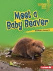 Meet a Baby Beaver - eBook