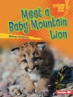 Meet a Baby Mountain Lion - eBook