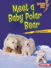 Meet a Baby Polar Bear - eBook