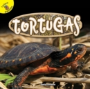 Tortugas : Turtles - eBook