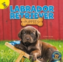 Labrador Retriever Puppies - eBook