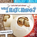 What Is Hatching? - eBook