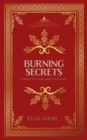 Burning Secrets - eBook